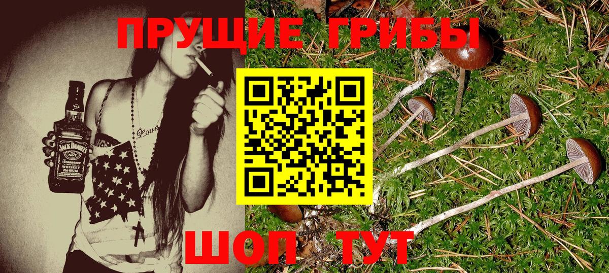 Галлюциногенные грибы ЛСД Протвино