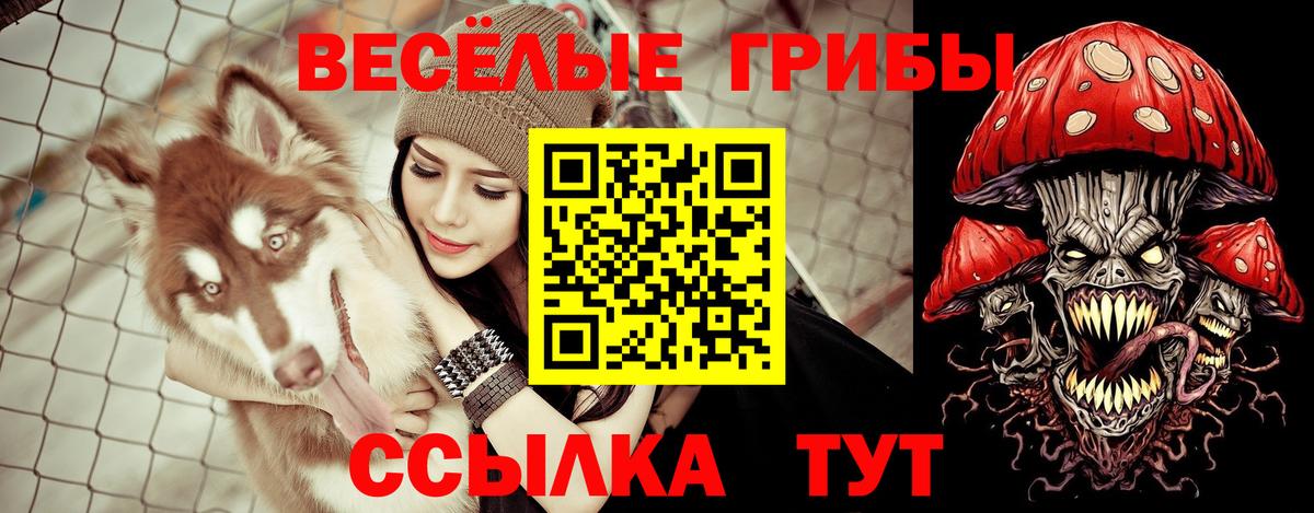 Протвино  где можно купить наркотик  Вход с VPN  Галлюциногенные грибы ЛСД 